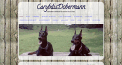 Desktop Screenshot of carybdis.it